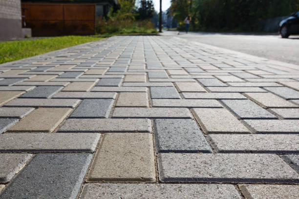 Best Professional Driveway Pavers  in Buffalo, MN